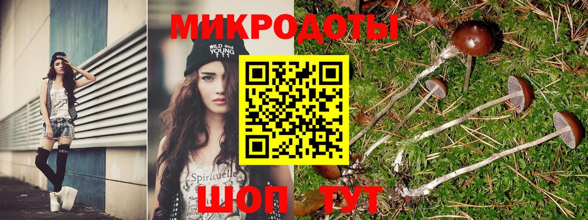 Галлюциногенные грибы MAGIC MUSHROOMS  Вход с VPN  Минеральные Воды  Псилоцибиновые грибы Cubensis 